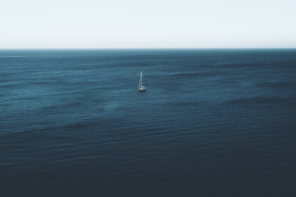 El daño del Carpe Diem